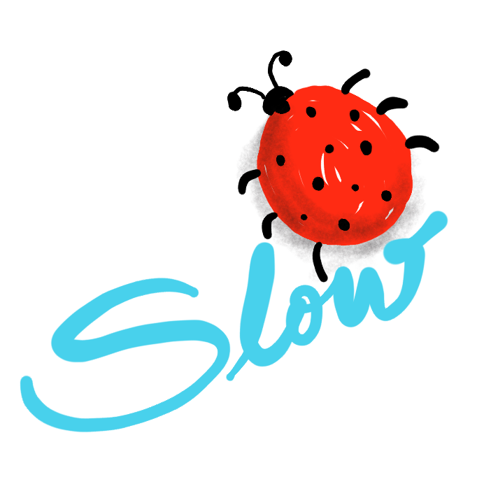Slowbug - Debug your code in slow-mo!